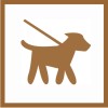 Gruppenspazi (Gruppen- und Sozialisierungsspaziergang)