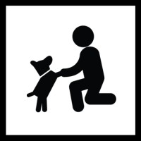 Basics der Hundeerziehung  A-Z - das Hunde ABC (Familienhund und Basisgehorsam) Montag 