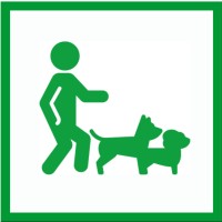 Social Walk und Sozialisierungs-Training