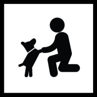 Basics der Hundeerziehung - das Hunde ABC  (Familienhund und Gehorsam) Montag A - Z
